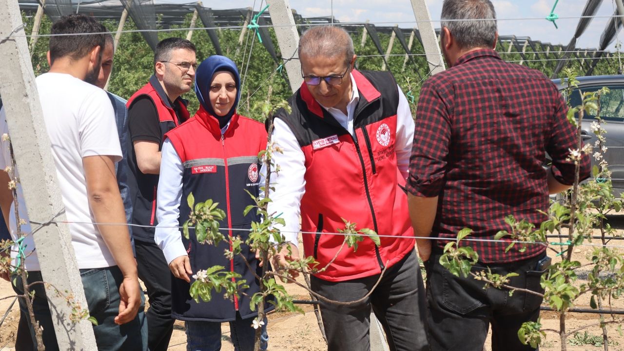 Zirai Don Zararına Yönelik Değerlendirme Toplantısı ve Saha Ziyaretleri Gerçekleştirildi