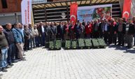 Toroslarda Yaz Seracılığı