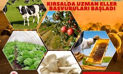 Uzman Ellere 250 Bin TL Hibe Desteği