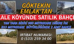 Göktekin Emlak’tan Satılık 2 Adet Bahçe