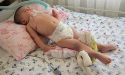 Ayberk Bebek'ten Acı Haber