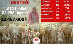 Karaman Çiftçilerine Müjde: Anaç Koyun-Keçi Destek Ödemeleri Yapılıyor!