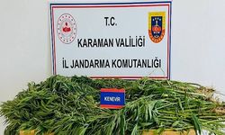 Jandarmadan Uyuşturucuya Geçit Yok