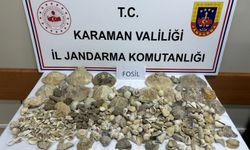 Köşe Yazısı Fosil Ticaretini Önledi