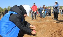 Gönüllü Gençler Diktikleri Fidanlara Şehitlerinin İsmini Verdi