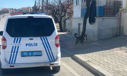 Karaman'da Köpeğin Saldırısından Oğlunu Kurtarmak İsteyen Baba Yaralandı