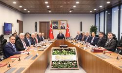 Sahipsiz Sokak Hayvanları İçin Yapılan Çalışmalar Değerlendirdi