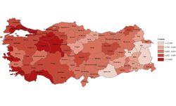 TÜİK İl Seviyesinde Beşeri Kalkınma Endeksi Açıkladı