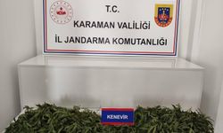 JANDARMA EKİPLERİ SUÇLULARA GÖZ AÇTIRMIYOR