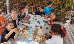 ‘It Is In My Nature To Learn’ Karaman’da