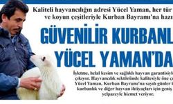 EMRE SAĞKAYA'DAN YAMAN TEPKİ
