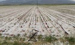 TARIM ALANLARINI DOLU VURDU