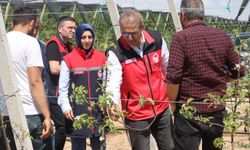 Zirai Don Zararına Yönelik Değerlendirme Toplantısı ve Saha Ziyaretleri Gerçekleştirildi