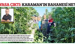 Yasa çıktı... Karaman’ın bahanesi ne?