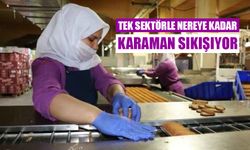 Tek sektörle nereye kadar? Karaman sıkışıyor