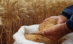 Karaman'da tohumun gücü sahne alıyor
