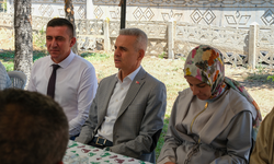 Memleket hasreti festivale dönüştü