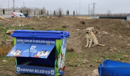 Sokak Canları İçin Daha Modern Besleme Noktaları Yapılıyor