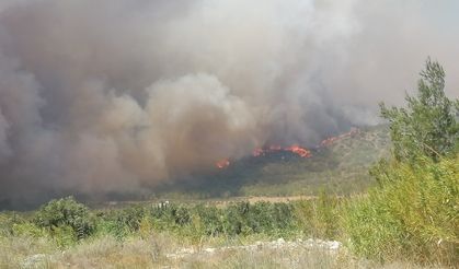Mersin'in Silifke İlçesinde Çıkan Orman Yangınına Müdahale Ediliyor