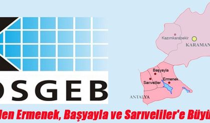 KOSGEB'den Ermenek, Başyayla ve Sarıveliler'e Büyük Destek