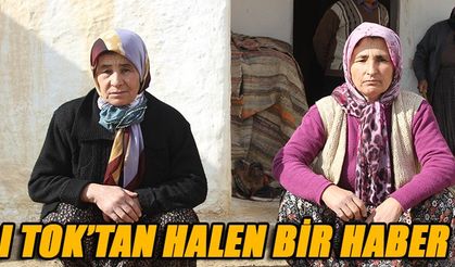 AVCI TOK’TAN HALEN BİR HABER YOK