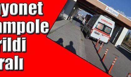Kamyonet Şarampole Devrildi: 5 Yaralı