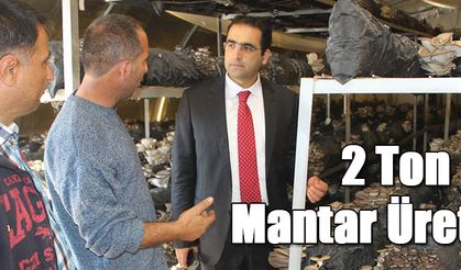 2 Ton Mantar Ürettiler