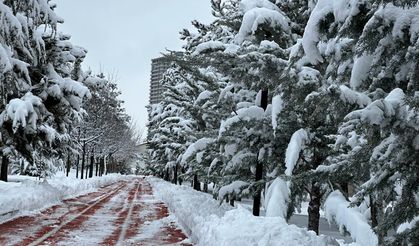 Karaman’ın En Çok Yol Alan Milletvekili Adayı