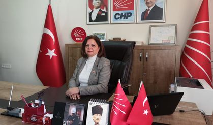 CHP İl Başkanı Yıldız: “Halkın Derdi, Saray'ın Derdi Olmuyor”