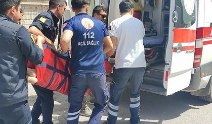 Anneannesini Yaralayan Torun 1 Ay Önce Yurt Dışından Gelmiş