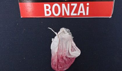 Şüpheli Şahsın Üzerinde Bonzai Ham Maddesi Bulundu