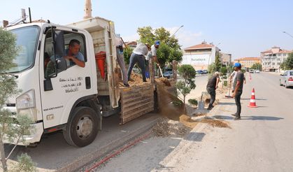 Zeytin Dalı Bulvarı'nda Orta Refüj Çalışması