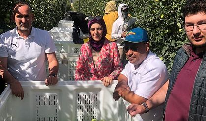 Tarım ve Orman Bakanlığı Uzmanı Kenan Şahin Karaman'da Elma Hasadına Katıldı