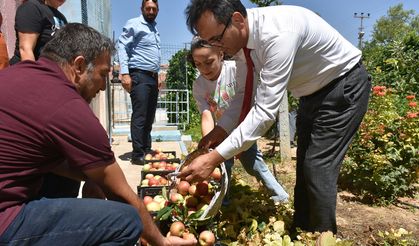 Minik Eller Doğa İçin Çalıştı: İlk Hasat Yapıldı