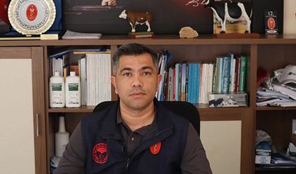 Bakanlıktan Büyükbaş Hayvan Islahına Büyük Destek