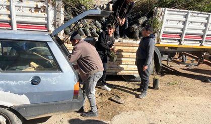 Ermenek’te Üreticilere Hibe Destekli Fidan Dağıtıldı