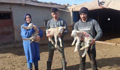 Yeni Destekler Küçükbaş Hayvancılığa İvme Kazandırıyor