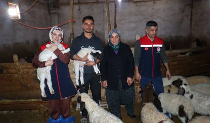 Hayvancılıkta Yeni Destekleme Modeli Üreticilere Can Suyu Olacak