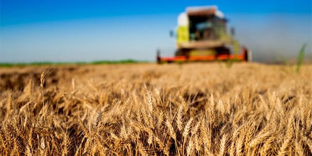 Hibe Desteği Başvuru Sonuçları Yayınlandı