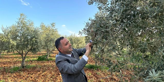 Mahmut Ünüvar: “Ermenek Zeytini Markalaşacak”