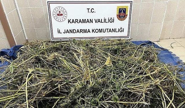 Jandarma "Durmak" Bilmiyor