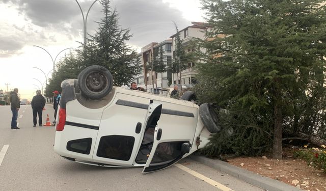 Kontrolden Çıkan Hafif Ticari Araç, Refüjdeki Ağacı Kırarak Devrildi: 1 Yaralı