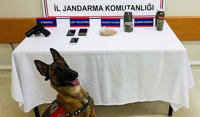 Narkotik Köpeği Erek Geçit Vermedi