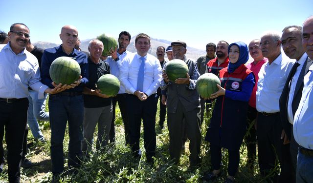 Volkanik Toprakların Eşsiz Lezzeti: Ortaoba Karpuzu