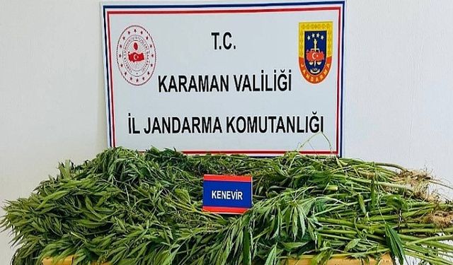 Jandarmadan Uyuşturucuya Geçit Yok