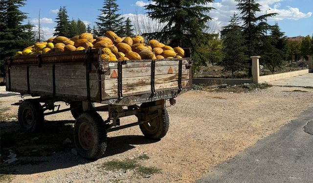 Muhtar Özdal Örnek Hizmetlerine Devam Ediyor