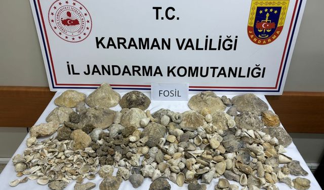 Köşe Yazısı Fosil Ticaretini Önledi