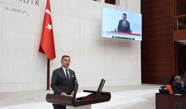 Ünver: "Genç Suçluluğundaki Artış, İktidarın Politikalarının Bir Sonucudur"