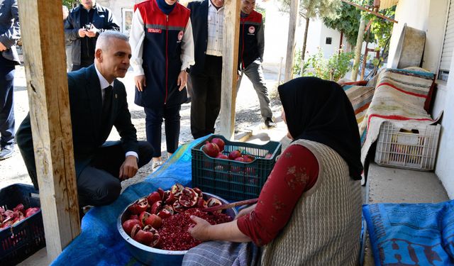 Vali Çiçekli, Köylerde Ziyaret ve İncelemeler Yaptı