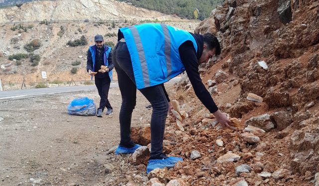 Ermenek Yurdu Gönüllü Gençlerinden Sokak Hayvanlarına Destek